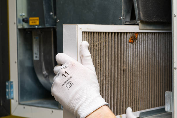 Best Residential Air Duct Cleaning  in Beach Haven West, NJ